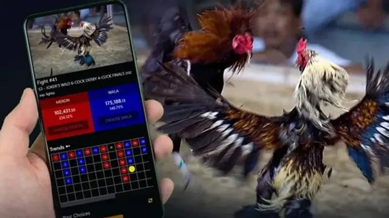 Đá Gà OnBet Hé Lộ Bí Kíp Thắng Lớn Mỗi Ngày